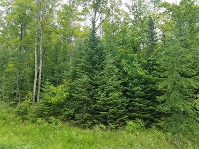 Lot 1 Sanctuary Rd, Tomahawk, WI 54487 - photo 2