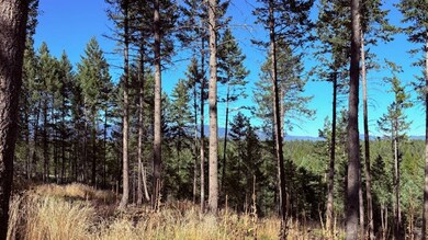 Nhn Soaring Eagle Dr, Whitefish, MT 59937 - photo 6