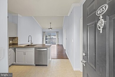 Bryson At Woodland Park unit 403, Herndon, VA 20171 - photo 6