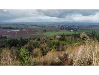 0 SE Sartore Rd unit 21649794, Amity, OR 97101 - photo 3