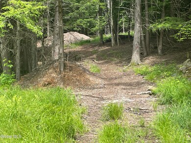 TBD Boulder Brook Rd unit Lot  12, Windham, NY 12496 - photo 4