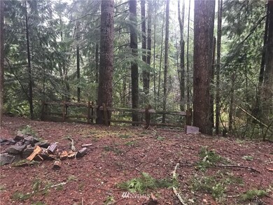 22237 Bluewater Dr SE, Yelm, WA 98597 - photo 2