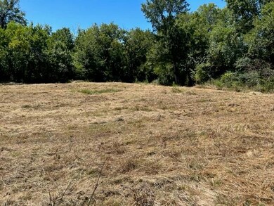 1701 Liberty St, Bonham, TX 75418 - photo 3