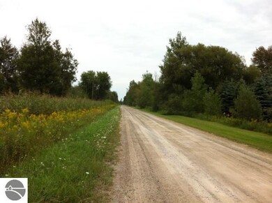 N/A Noggle Rd, Omer, MI 48749 - photo 2