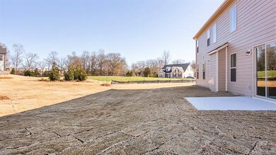 4236 Maggie Springs Way unit 25, Clover, SC 29710 - photo 5