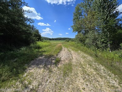 00B Leckrone Rd, Brown Township, MI 49619 - photo 4