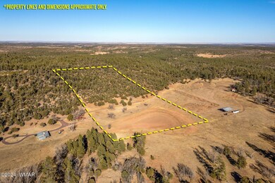 ForestRoad107AParcel-Heber-AZ-1