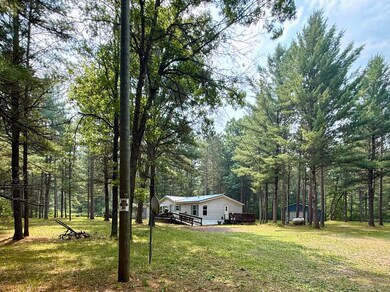 333 E 20th St, Baldwin, MI 49304 - photo 2