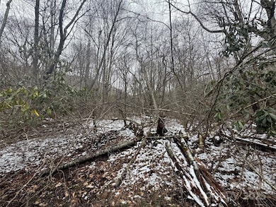 640 Hemlock Ln, Mars Hill, NC 28754 - photo 7