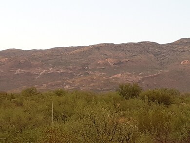 Back Yard View