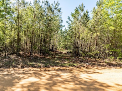 01-DJI_0629-HDR