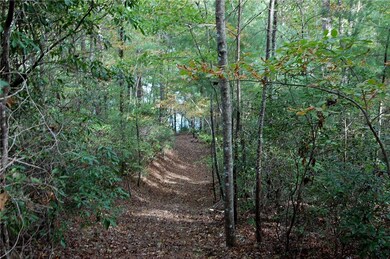 Path to Dock winds thru the woods