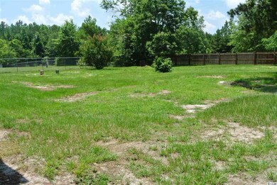 5249 Krystal Ln, Conway, SC 29527 - photo 4