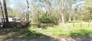 TBD Jenette Ln, Shepherd, TX 77371 - photo 4