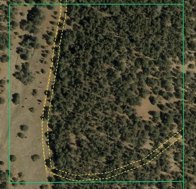 600 Forest Road 462, Tijeras, NM 87059 - photo 2