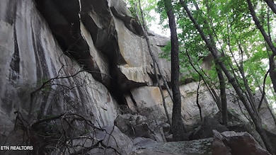 0 Junaluska Dr unit 1299475, Jamestown, TN 38556 - photo 5