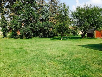 Yard/Garden.