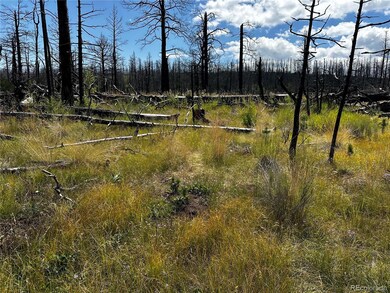 1175-1176 Macomber Ln unit 1175-1176, Fort Garland, CO 81133 - photo 6