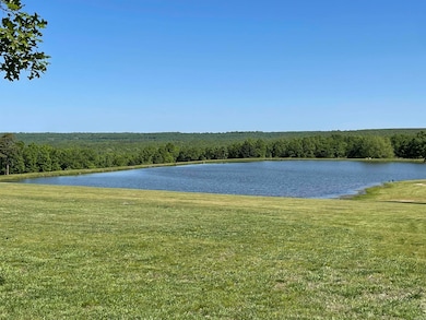 571 Honeysuckle Rd, Bald Knob, AR 72010 - photo 3