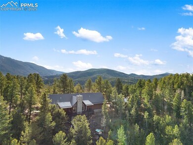 111 Blue Spruce Rd, Divide, CO 80814 - photo 3