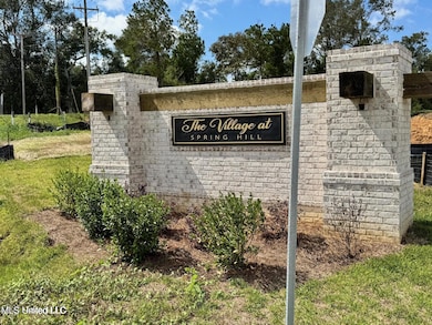 The Village at Spring Hill