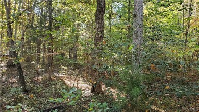 10.98 Acres Genito Rd, Amelia Ct Hse, VA 23002 - photo 3