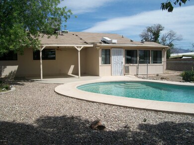 backyard 3