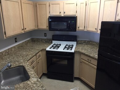 14322 Climbing Rose Way unit 206, Centreville, VA 20121 - photo 2