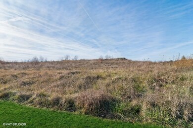 4799 Waa Kee Sha Dr, Oswego, IL 60543 - photo 3