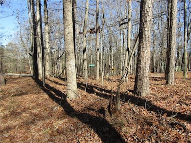 0000 Fence Rd, Dacula, GA 30019 - photo 2