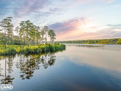 0 Steelwood Ridge Dr unit 24163208, Loxley, AL 36551 - photo 2