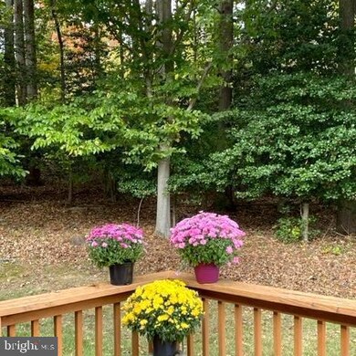 865 Yardarm Way, Annapolis, MD 21401 - photo 5