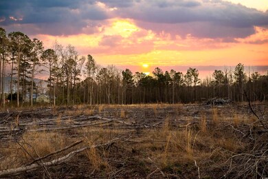 TBD Old Tram Rd, Conway, SC 29527 - photo 3