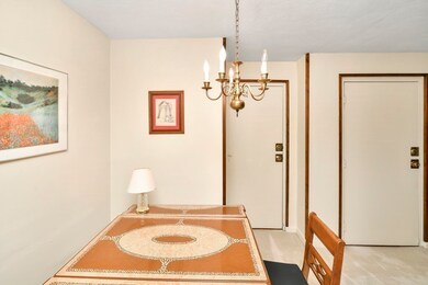 56 Coffey St unit 15, Dorchester, MA 02122 - photo 7