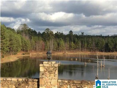 48 Bells Ln unit 48, Vincent, AL 35178 - photo 2