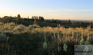 Nhn Lone Rock Canyon Lot: Sc-28, Hysham, MT 59076 - photo 7