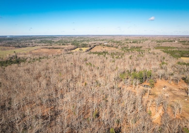 000 Deason Drive-Tract 2, Licking, MO 65542 - photo 6