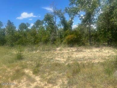 TBD Cachet Ct unit 9, Chipley, FL 32428 - photo 2