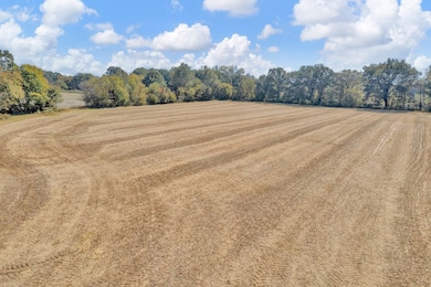 15870 Highway 70 E, Stanton, TN 38069 - photo 3