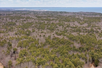 Wooded Lot