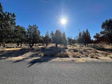 Unit 8-2 Lot 145- Sherwood Rd unit 8-2, Weed, CA 96094 - photo 4