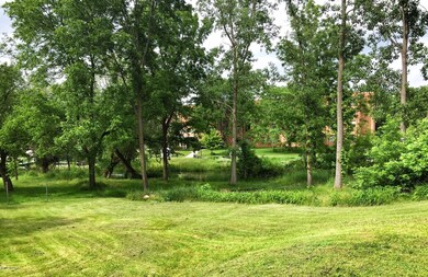 319 Locust St, Marshall, MI 49068 - photo 2