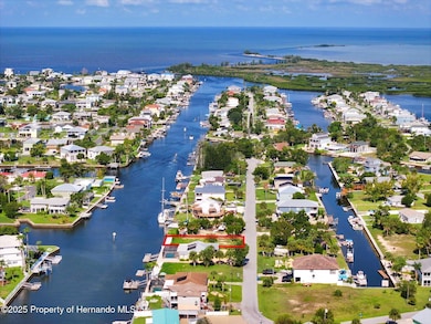 5016 Cedarbrook Ln, Hernando Beach, FL 34607 - photo 6