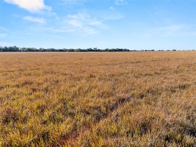 Lot 1 TBD 23+/- ac. New Windsor Pkwy, McGregor, TX 76657 - photo 2