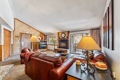 Living room with wooden walls, carpet floors, vaul