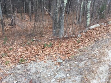 0 Silver St unit 4464070, Milton, NH 03851 - photo 2