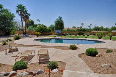 Backyard 2