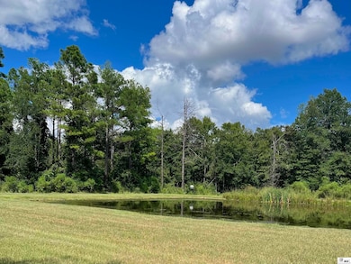 78 Evans Ln, Rayville, LA 71269 - photo 4