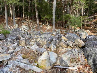 102 Cow Island, Tuftonboro, NH 03894 - photo 5