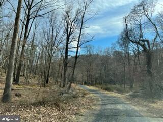 Tract A Ewing Dr, Baker, WV 26801 - photo 2